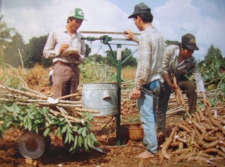 Hình ảnh này không có thuộc tính alt; tên tập tin này là cassava-and-vietnam-now-and-then-19.jpg