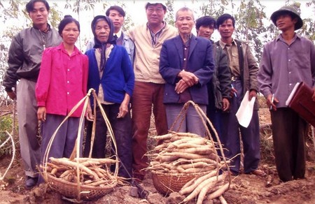 Hình ảnh này không có thuộc tính alt; tên tập tin này là cassava-and-vietnam-now-and-then-1.jpg